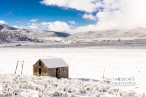 Snowy farms (3).jpg